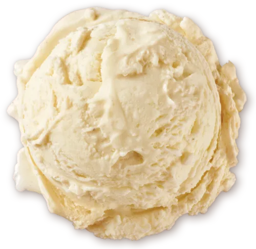 Homemade Brand Natural Vanilla Bean Ice Cream Scoop - Transparent Vanilla Ice Cream Scoop