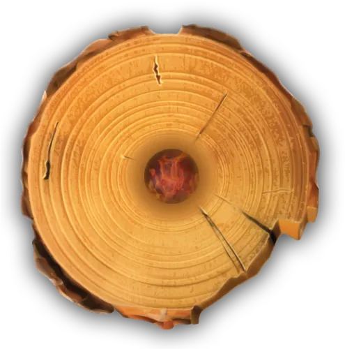 Timber Tote Log Top View - Log Top View Png